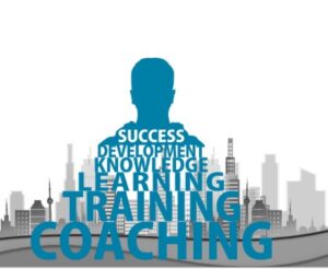 Problem solving methodology consulting